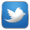 Twitter Logo Icon